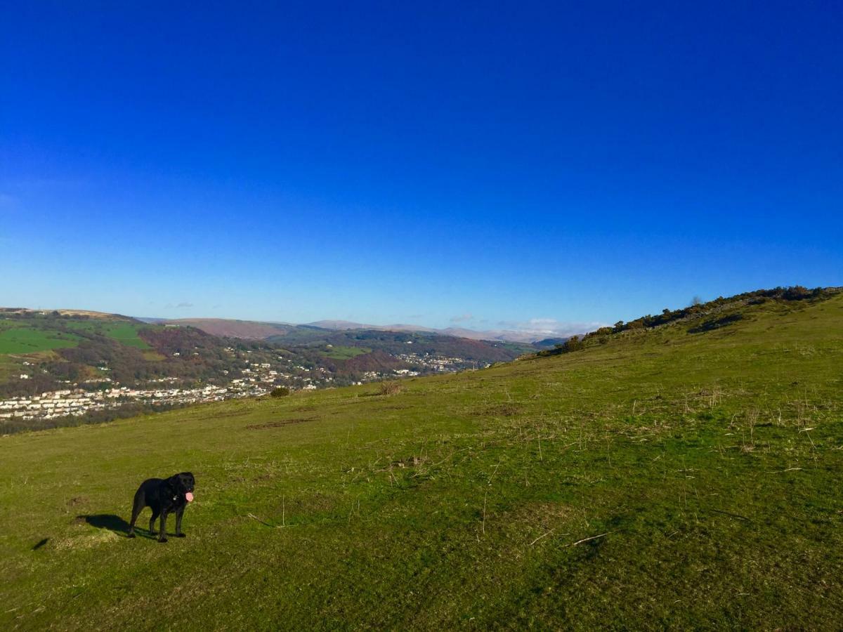 Cilhendre Holiday Cottages - The Dairy スウォンジー エクステリア 写真
