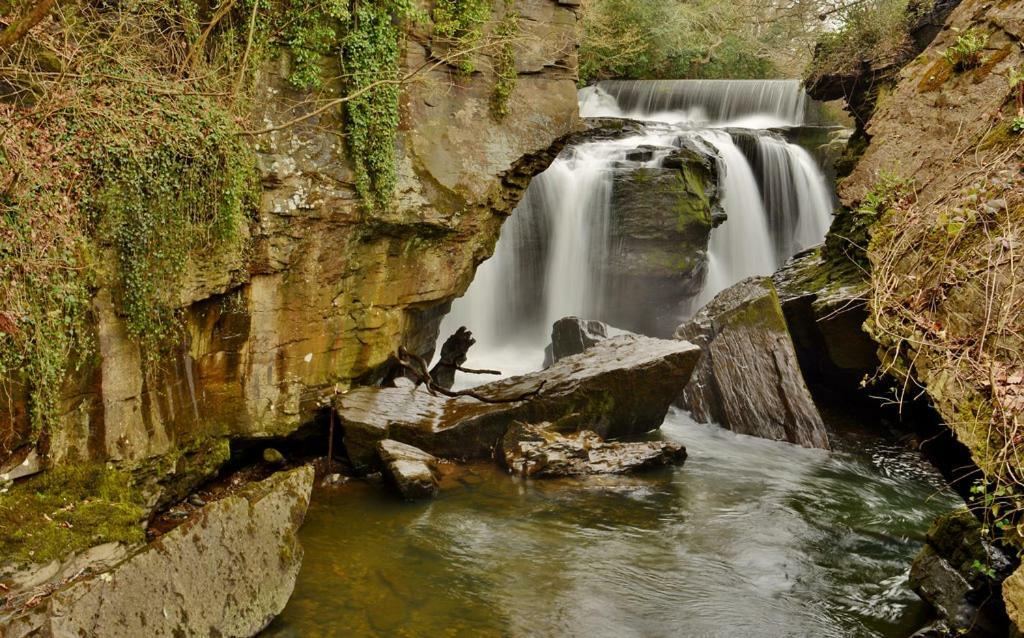 Cilhendre Holiday Cottages - The Dairy スウォンジー エクステリア 写真